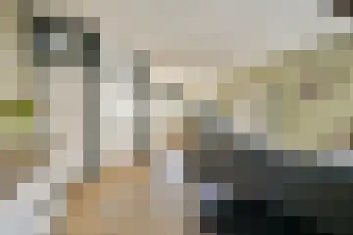 Spoorsingel 48 Vlaardingen thumbnail 6