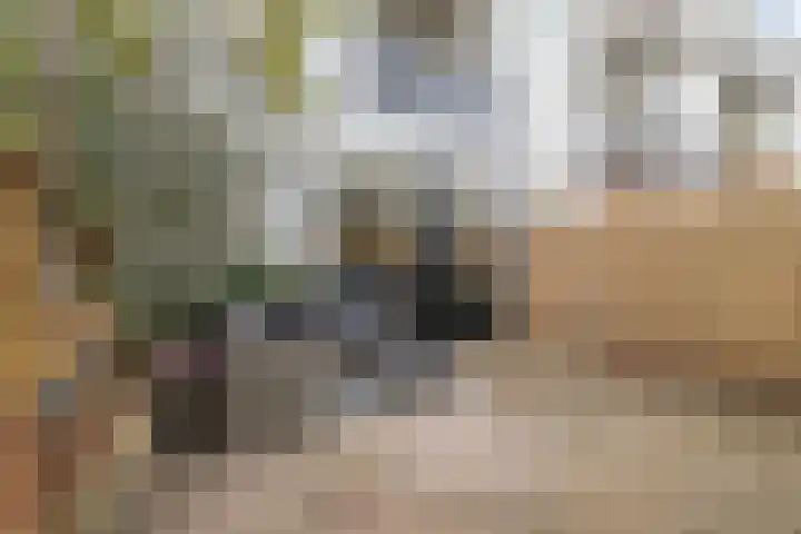 Spoorsingel 59 Vlaardingen thumbnail 10