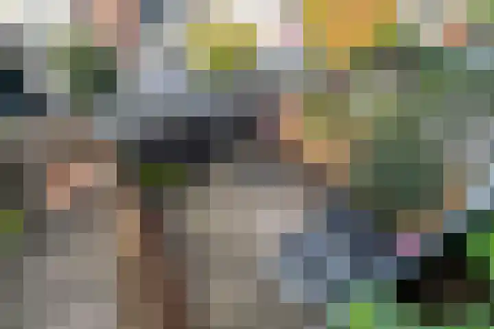 Spoorsingel 59 Vlaardingen thumbnail 11