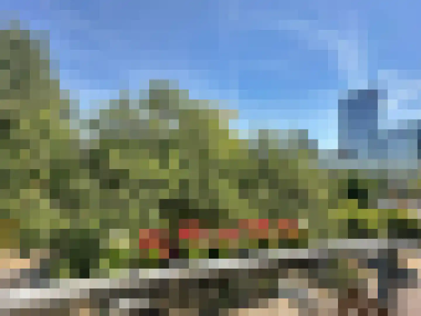 Spoorsingel 63 B Rotterdam thumbnail 20