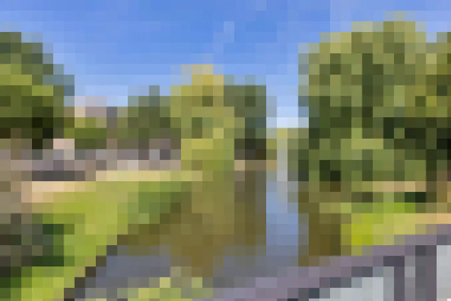 Spoorsingel 63 B Rotterdam thumbnail 35
