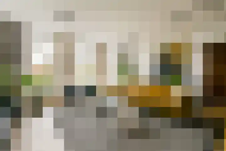 Spoorsingel 72 A Rotterdam thumbnail 10
