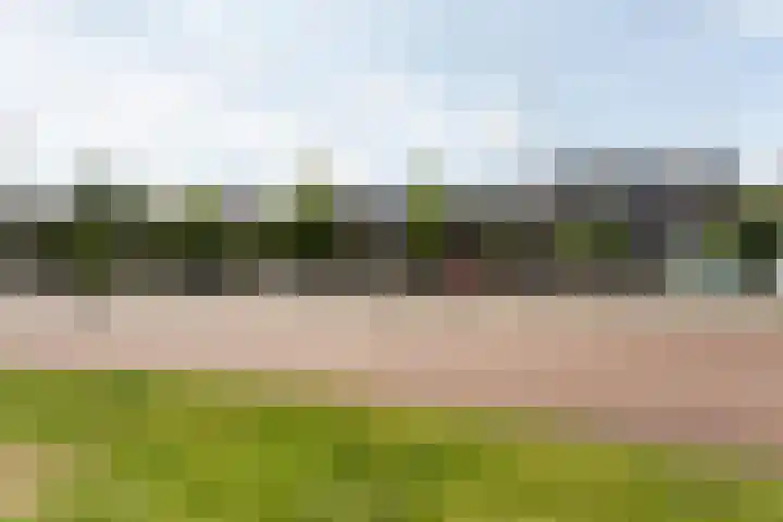 Spoorsingel 74 Delft thumbnail 4