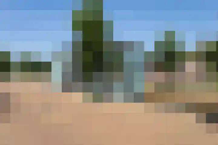 Spoorsingel 74 Delft thumbnail 8