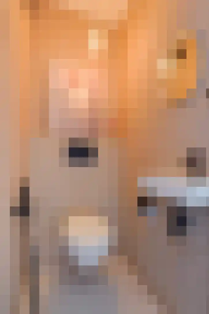 Spoorsingel 91 Rotterdam thumbnail 19