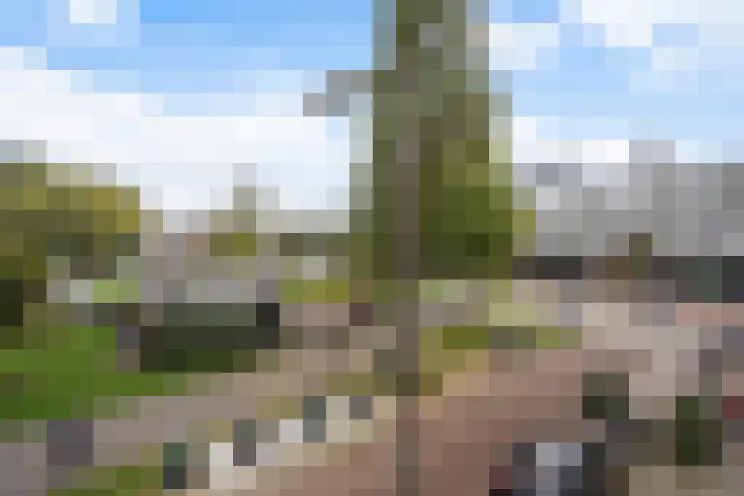 Spoorsingel 91 Rotterdam thumbnail 24