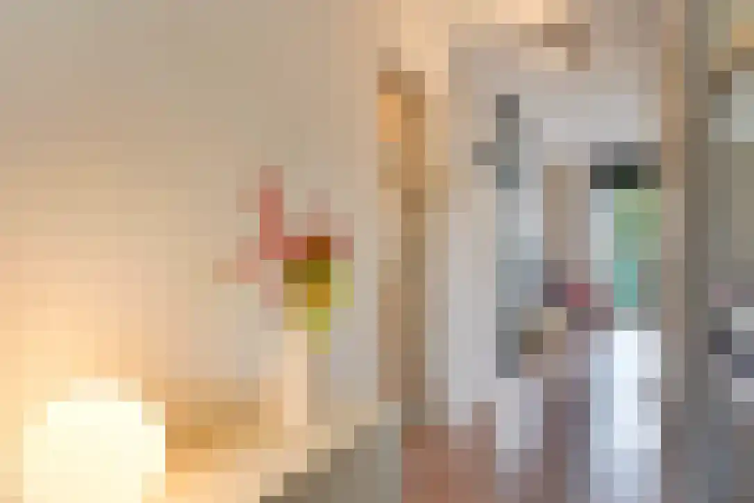 Spoorsingel 91 Rotterdam thumbnail 8