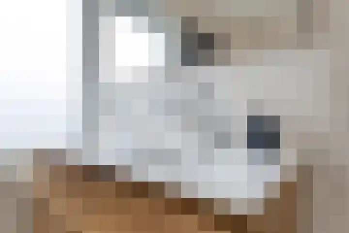 Spoorstokstraat 35 Purmerend thumbnail 26