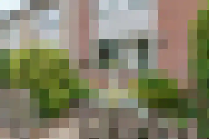 Spoorstokstraat 41 Purmerend thumbnail 32