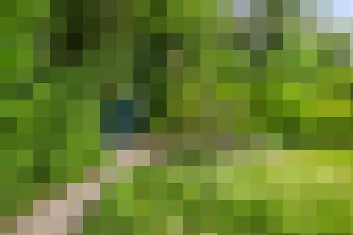 Spoorstraat 1 a Olst thumbnail 30