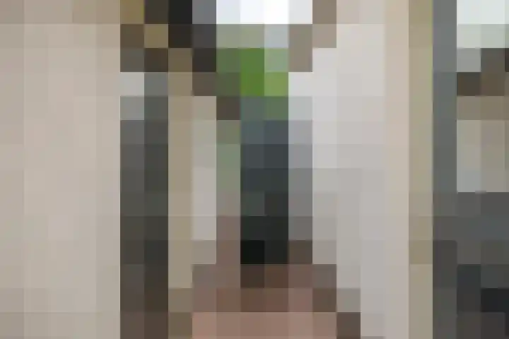 Spoorstraat 1 a Olst thumbnail 35
