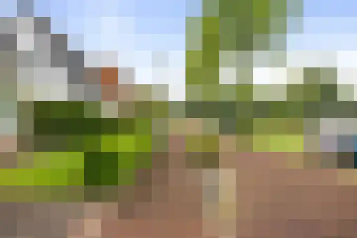 Spoorstraat 1 a Olst thumbnail 38