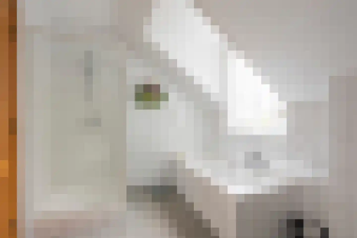 Spoorstraat 1 Eys thumbnail 16