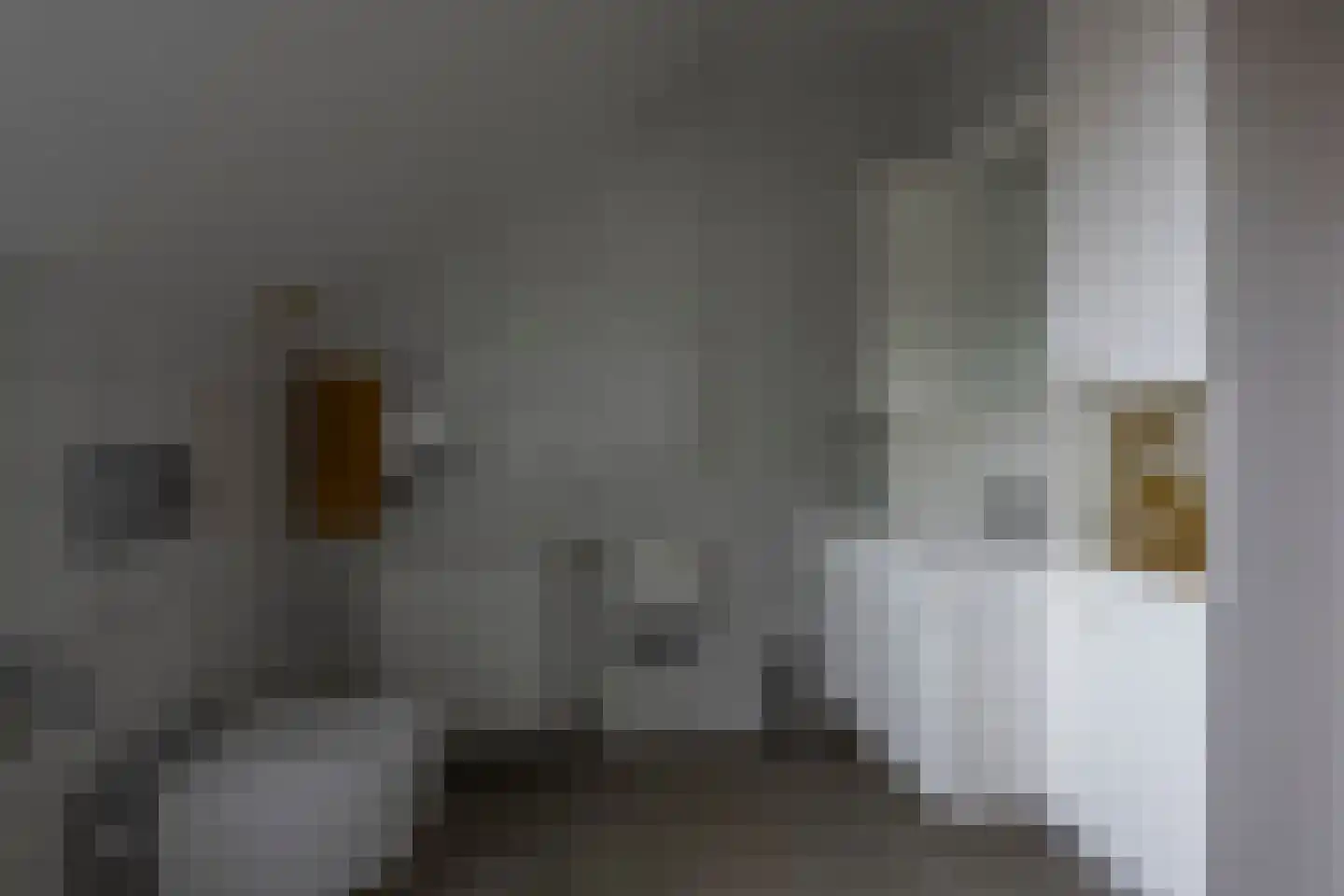 Spoorstraat 1 Eys thumbnail 17