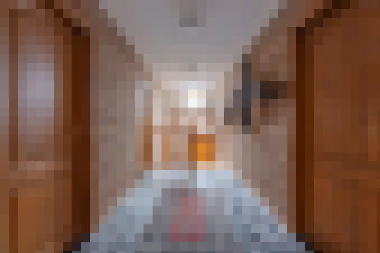 Spoorstraat 1 Eys thumbnail 20