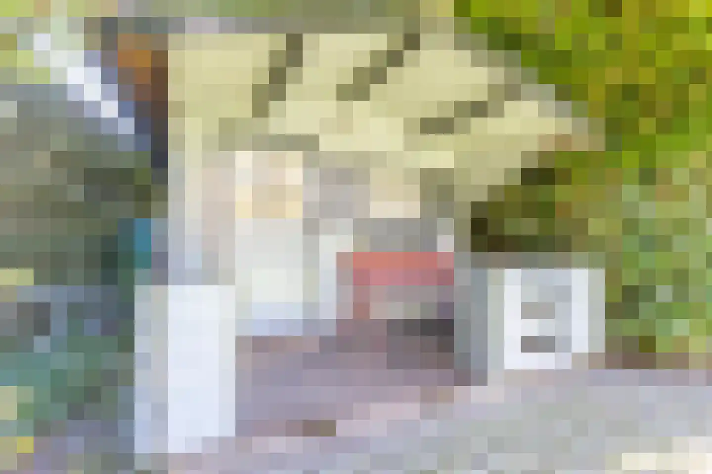 Spoorstraat 1 Eys thumbnail 34