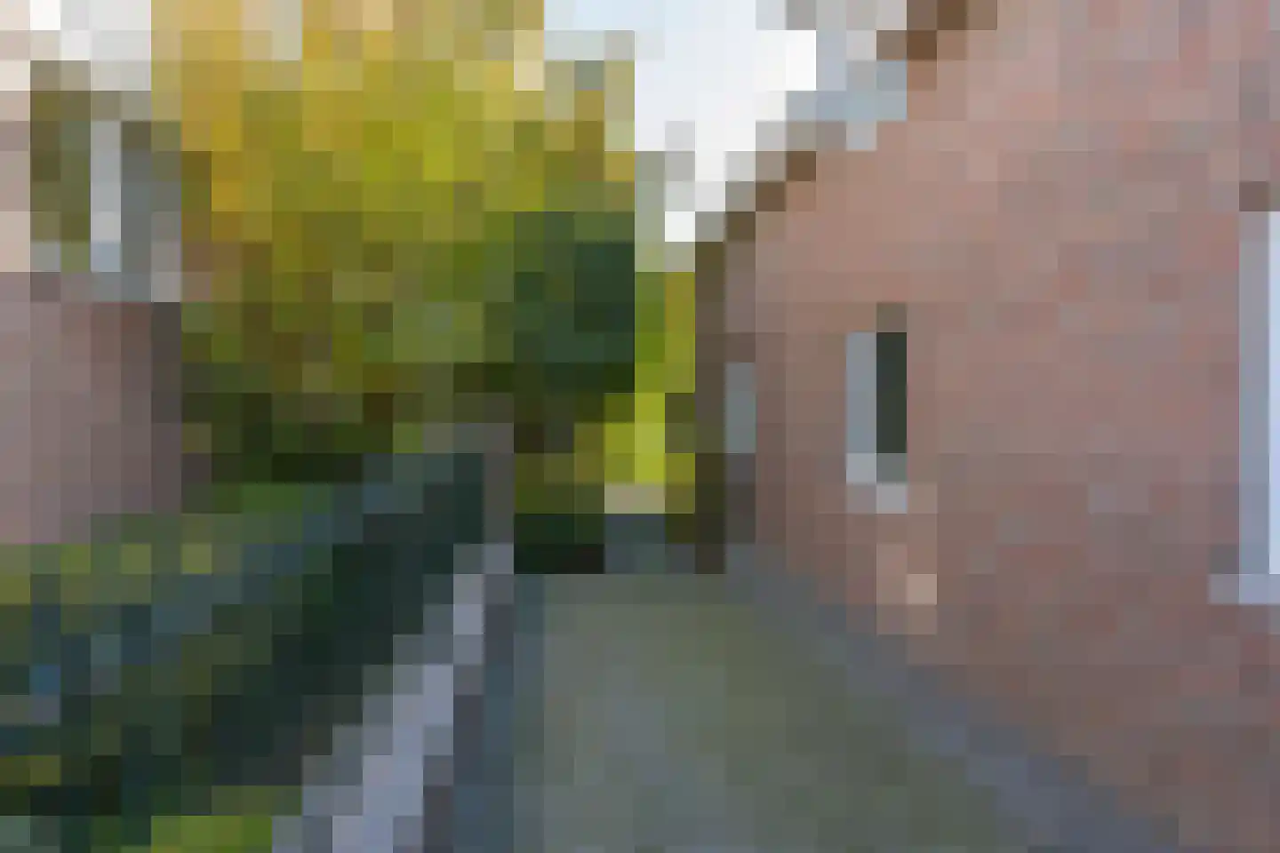 Spoorstraat 1 Eys thumbnail 38