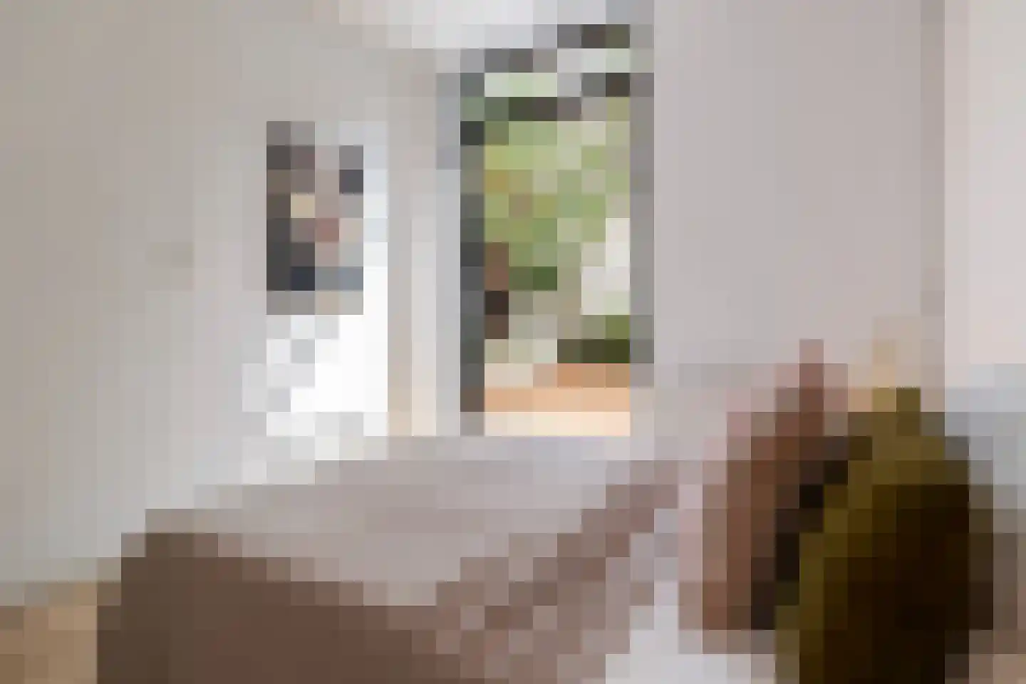 Spoorstraat 10 Breda thumbnail 22