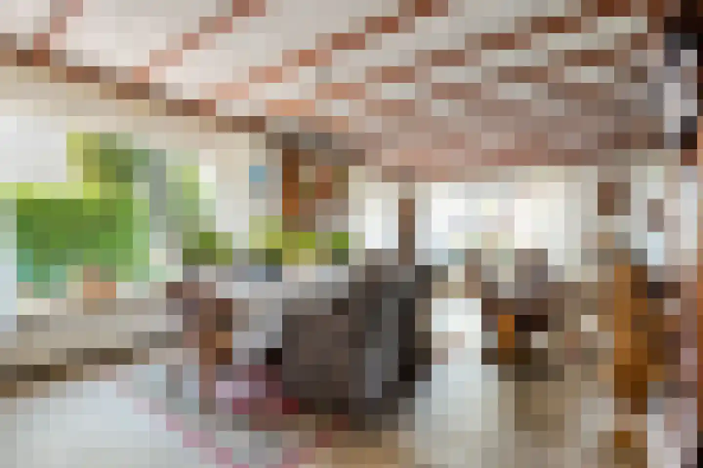 Spoorstraat 11 Daarlerveen thumbnail 14