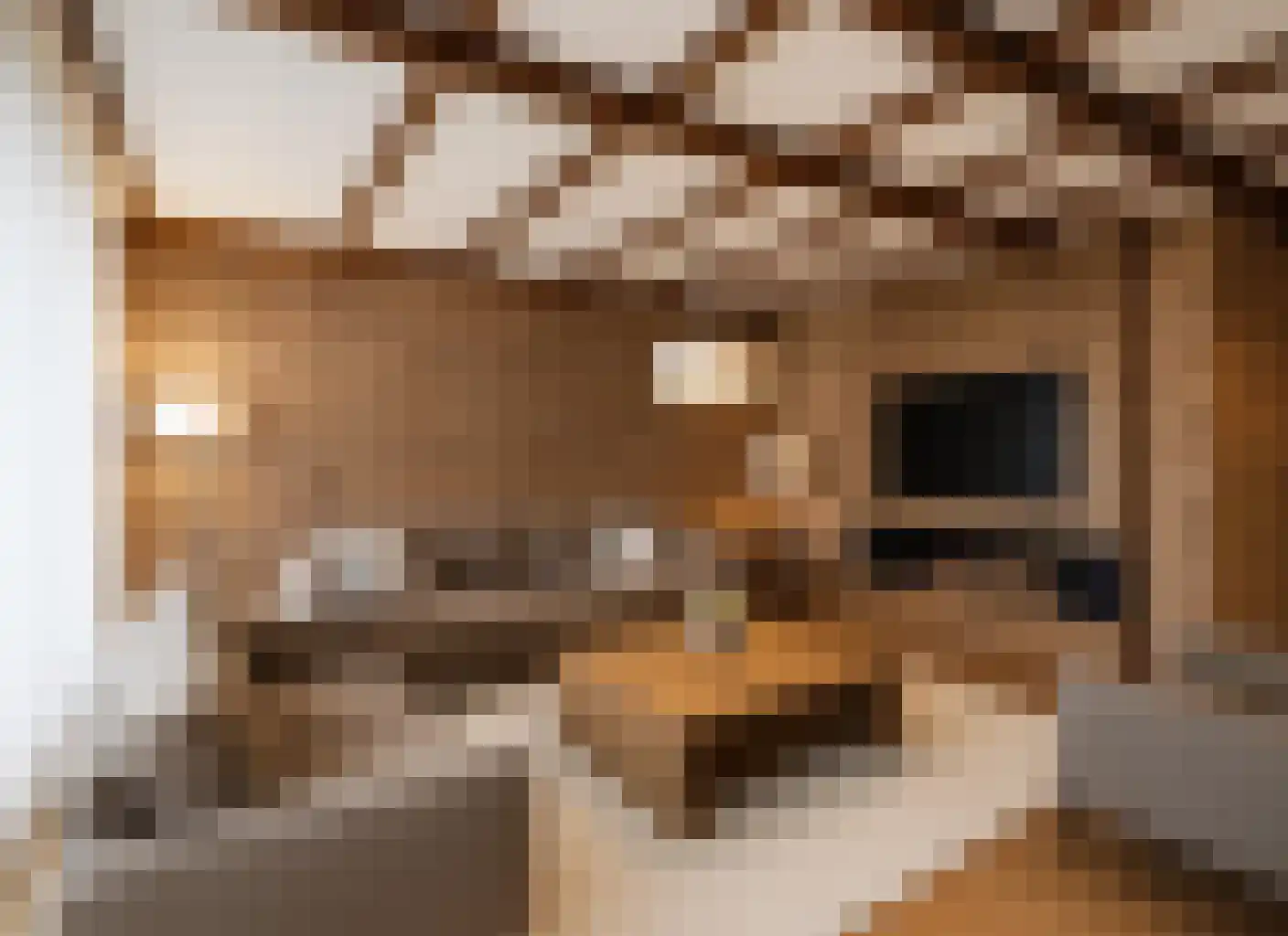 Spoorstraat 11 Daarlerveen thumbnail 16