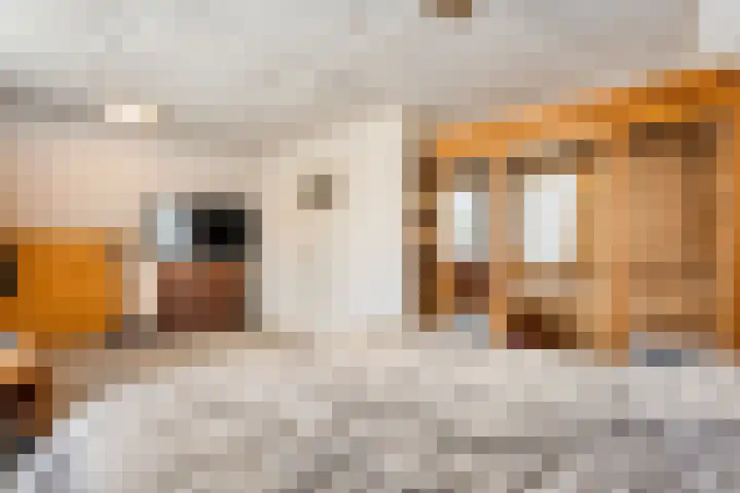 Spoorstraat 11 Daarlerveen thumbnail 37