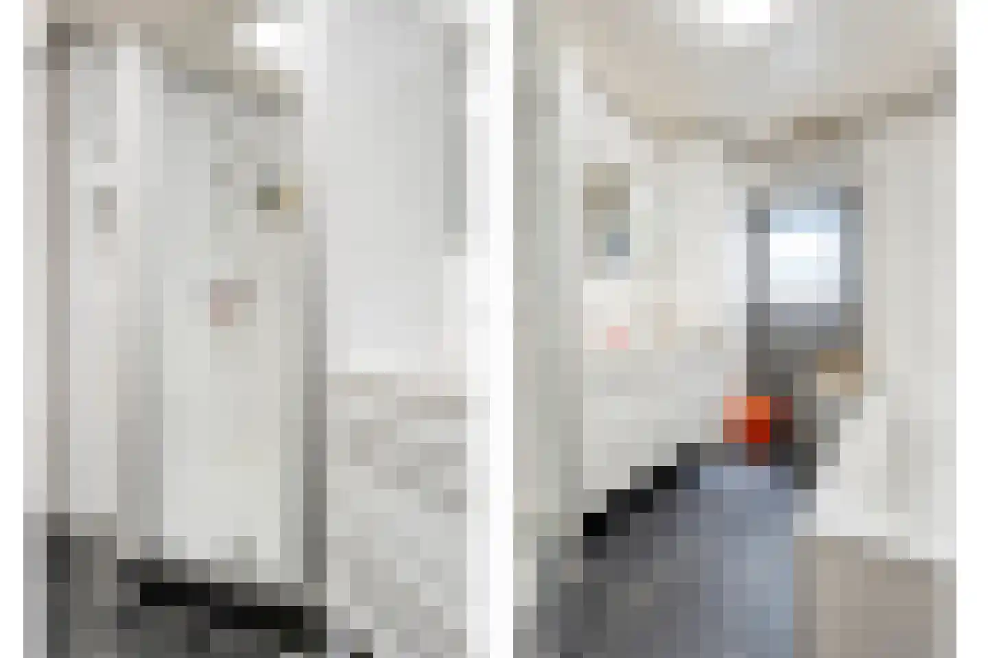 Spoorstraat 11 Daarlerveen thumbnail 43