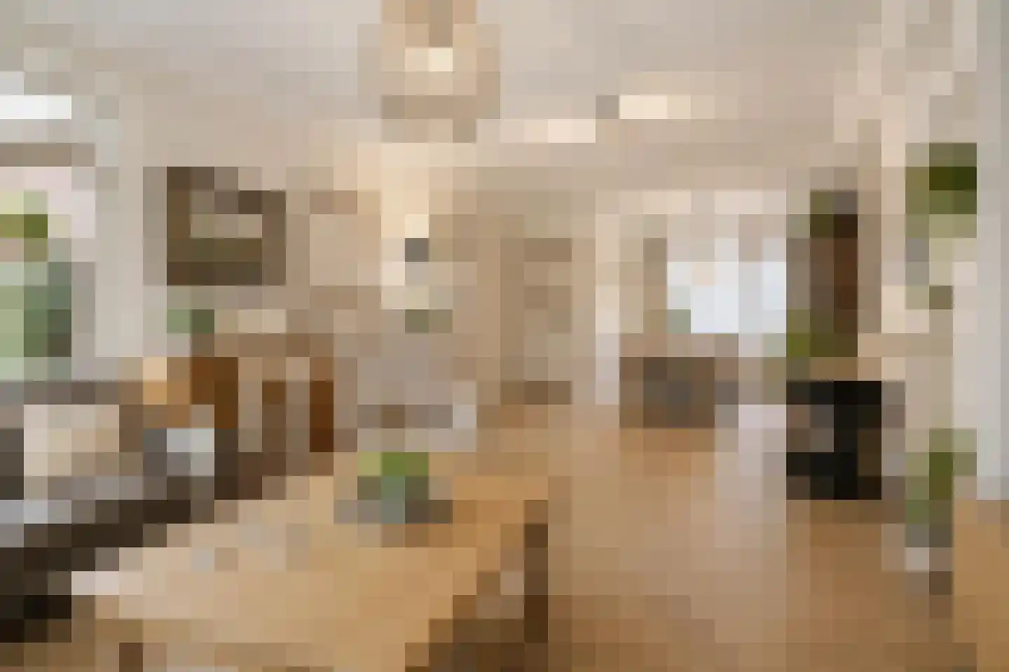 Spoorstraat 12 Hooge Zwaluwe thumbnail 14