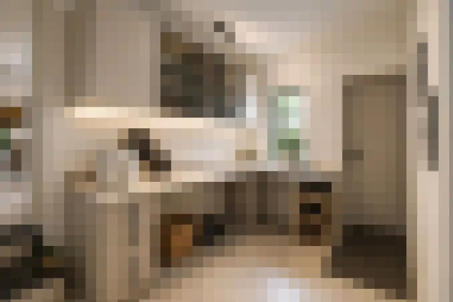 Spoorstraat 12 Hooge Zwaluwe thumbnail 20