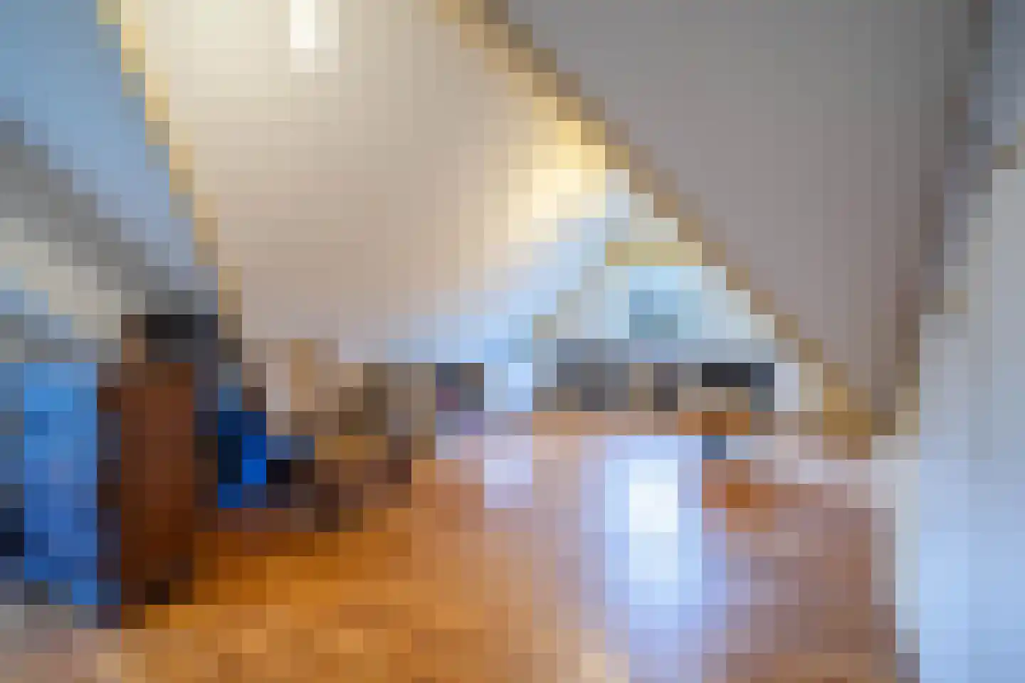 Spoorstraat 12 Hooge Zwaluwe thumbnail 21