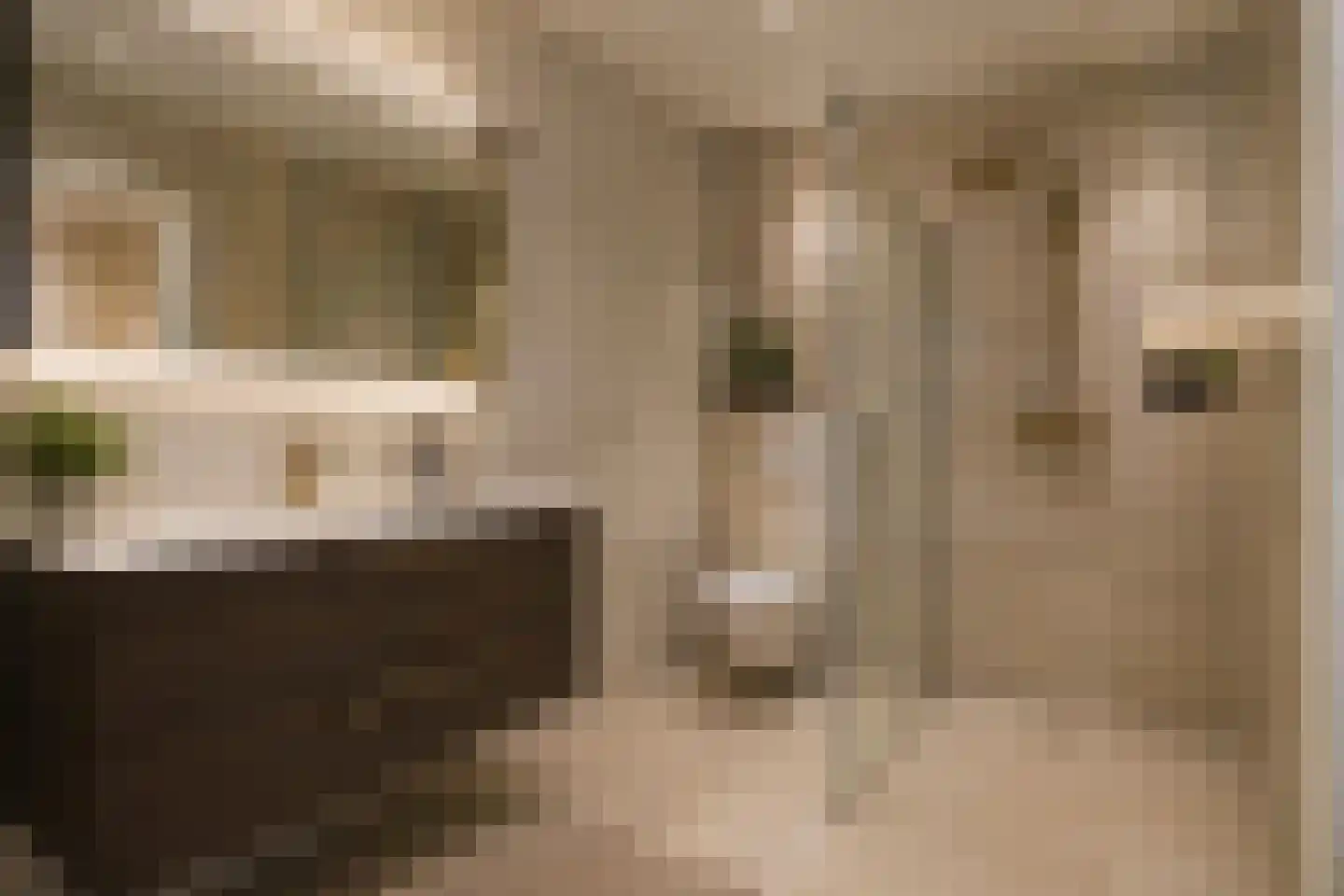 Spoorstraat 12 Hooge Zwaluwe thumbnail 22