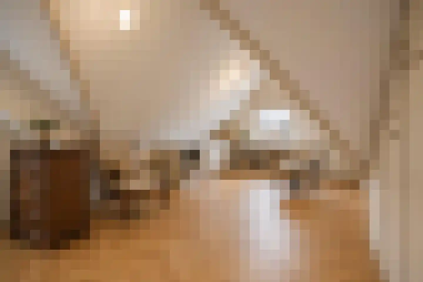 Spoorstraat 12 Hooge Zwaluwe thumbnail 28