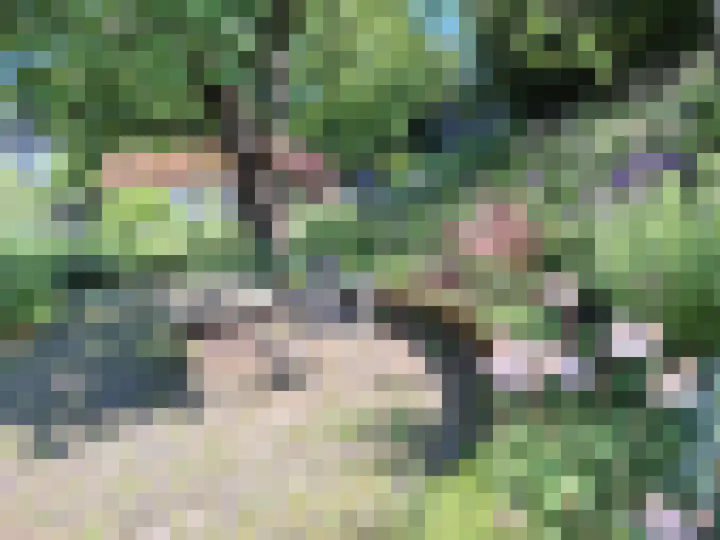 Spoorstraat 12 Hooge Zwaluwe thumbnail 38