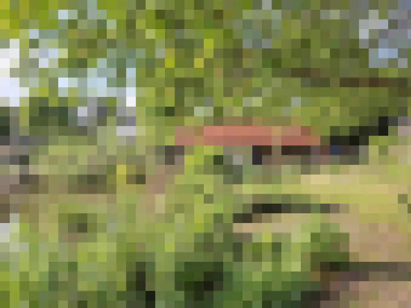 Spoorstraat 12 Hooge Zwaluwe thumbnail 39