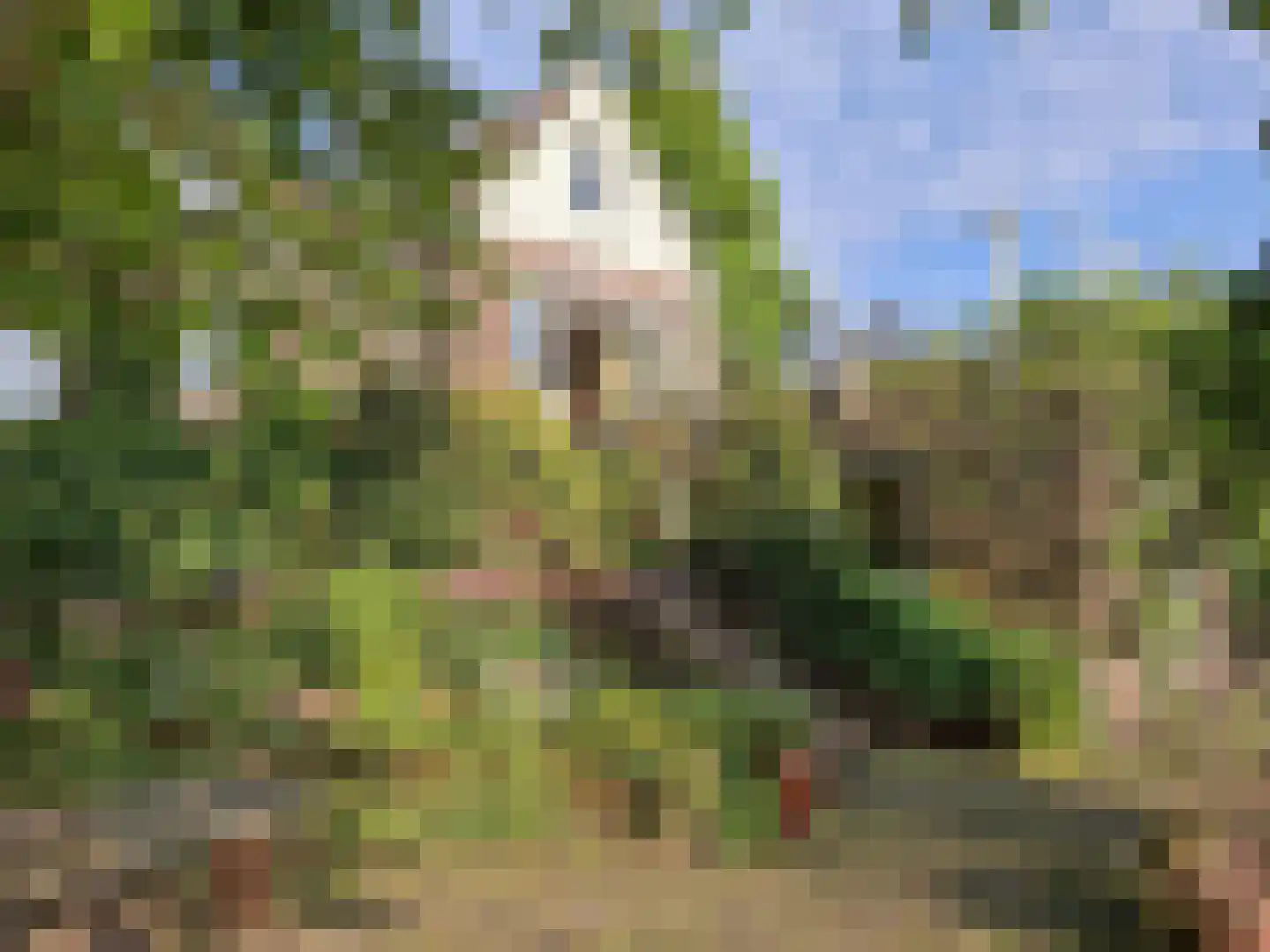 Spoorstraat 12 Hooge Zwaluwe thumbnail 41