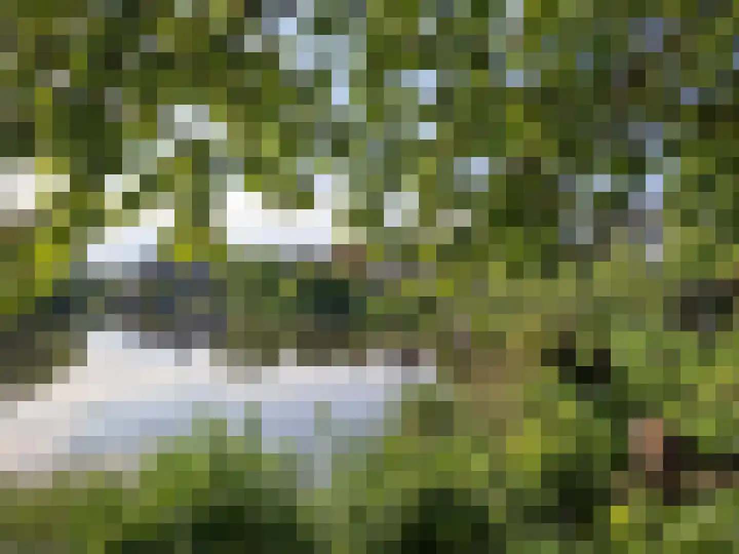Spoorstraat 12 Hooge Zwaluwe thumbnail 42