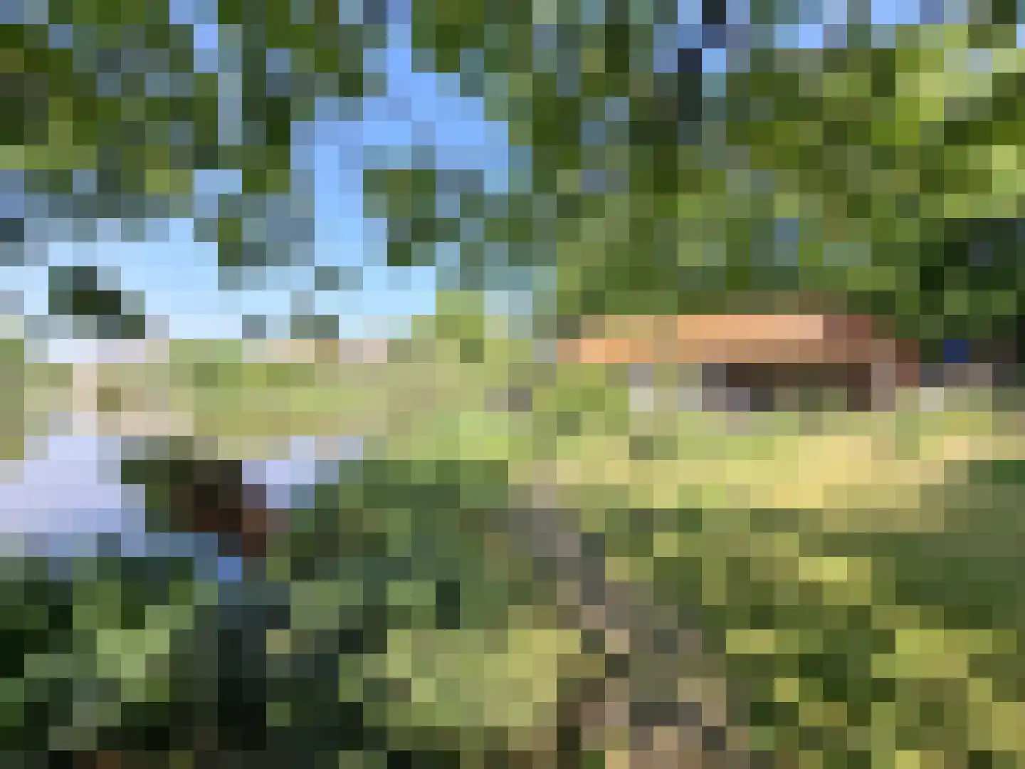 Spoorstraat 12 Hooge Zwaluwe thumbnail 5