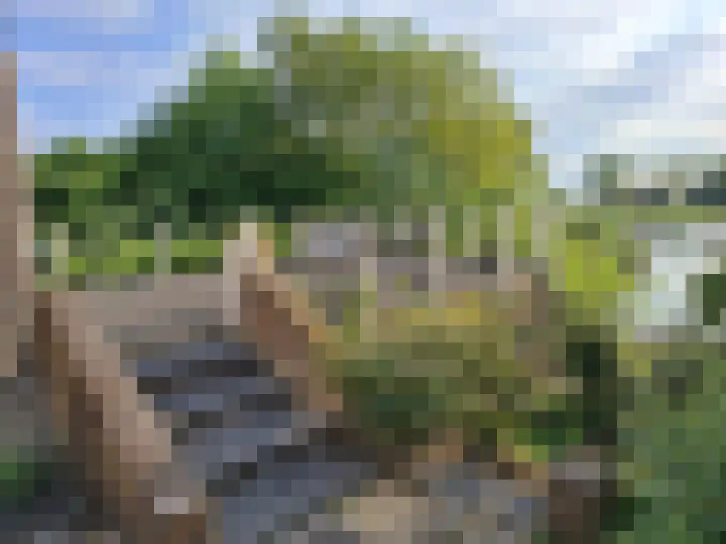 Spoorstraat 12 Hooge Zwaluwe thumbnail 6