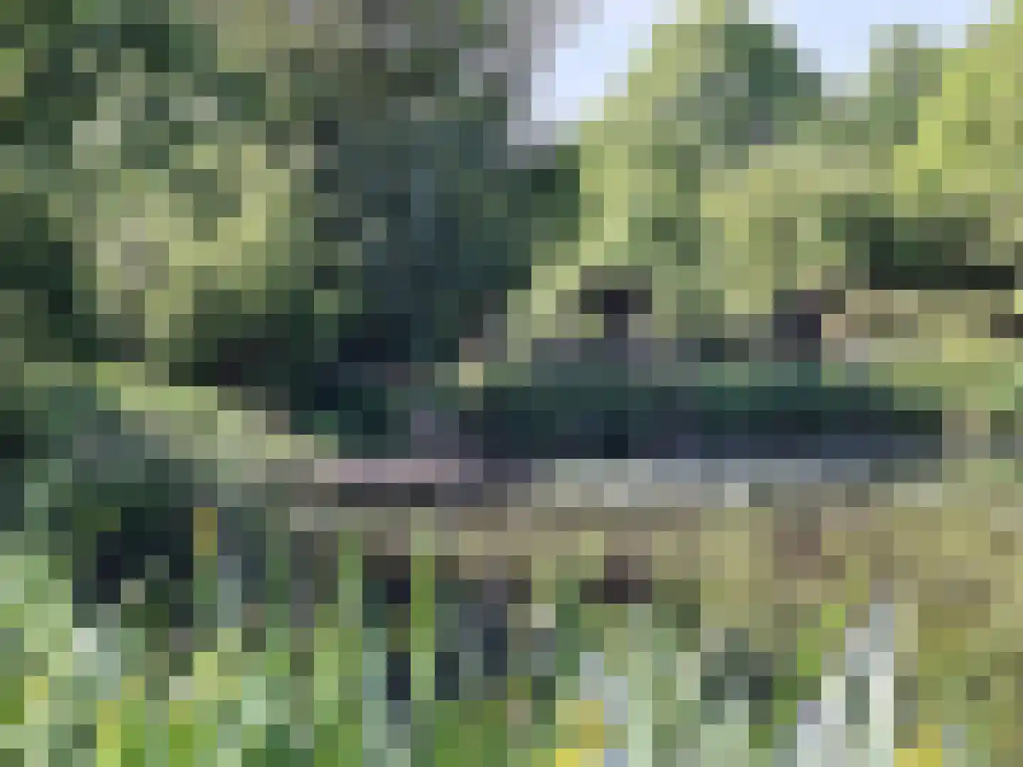 Spoorstraat 12 Hooge Zwaluwe thumbnail 7