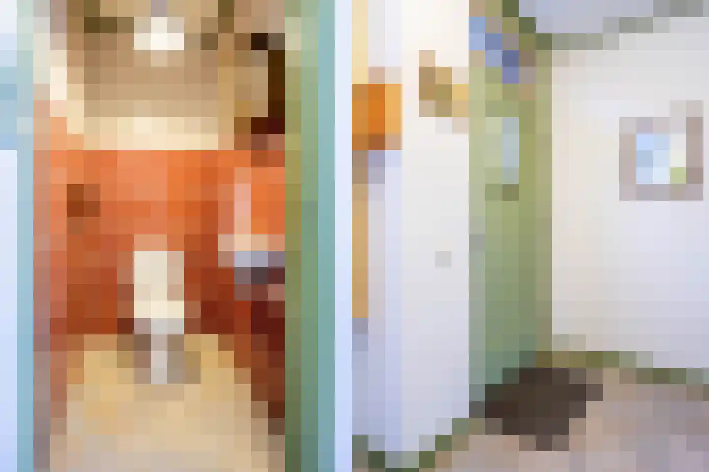 Spoorstraat 12 Hooge Zwaluwe thumbnail 9