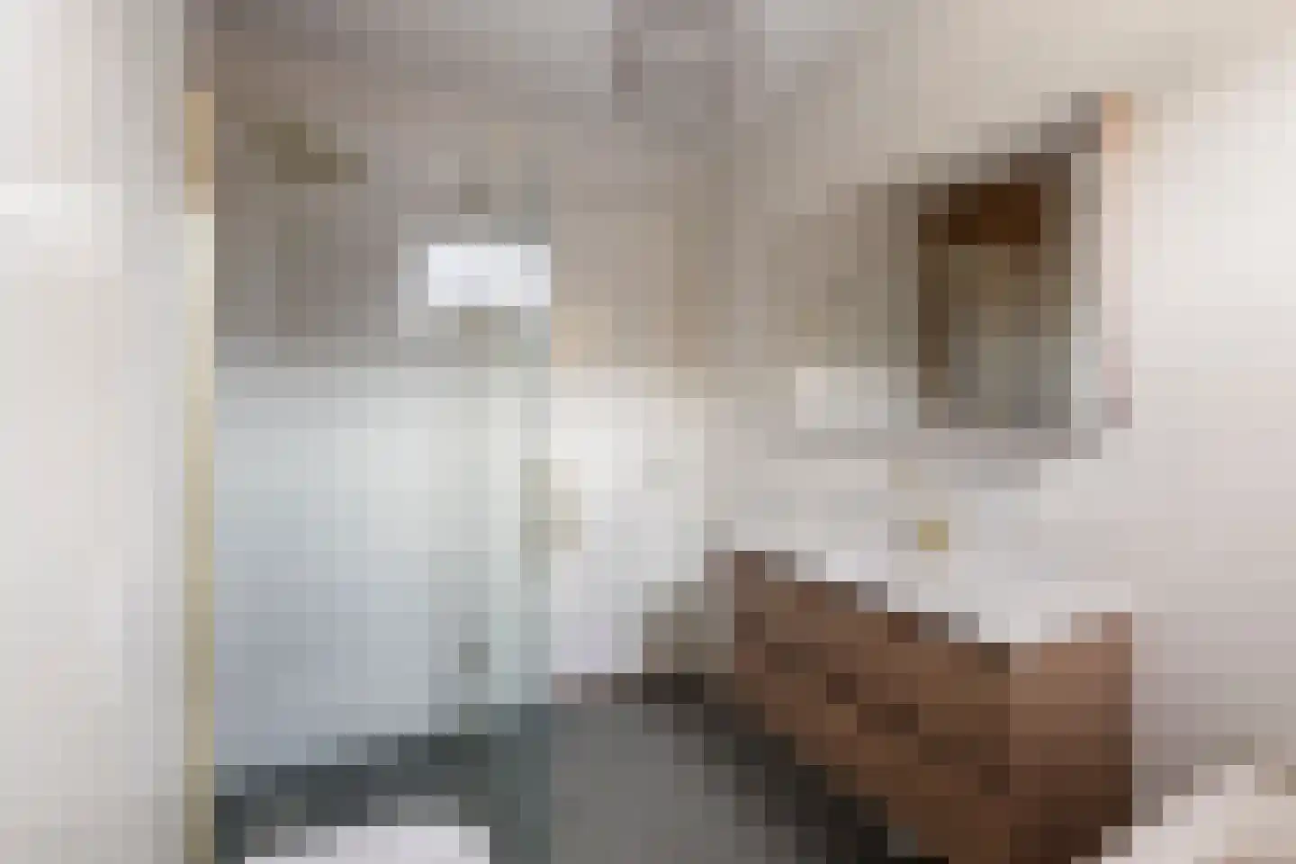 Spoorstraat 141 Noord-Scharwoude thumbnail 21