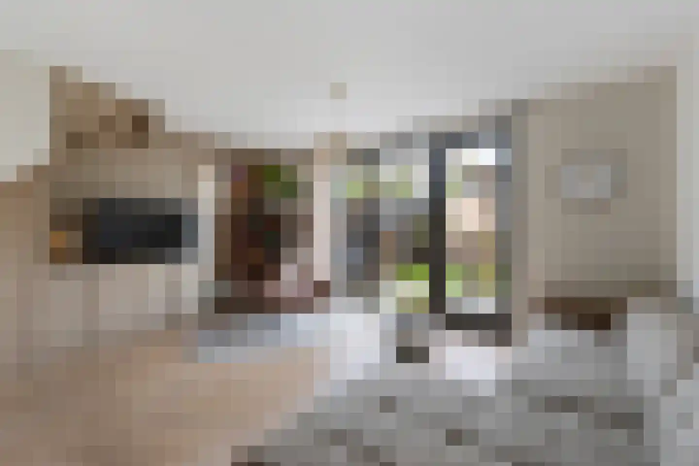 Spoorstraat 141 Noord-Scharwoude thumbnail 4