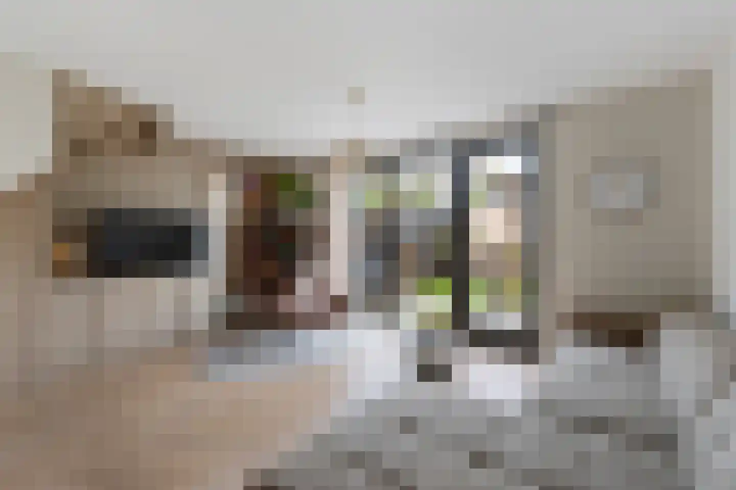 Spoorstraat 141 Noord-Scharwoude thumbnail 6