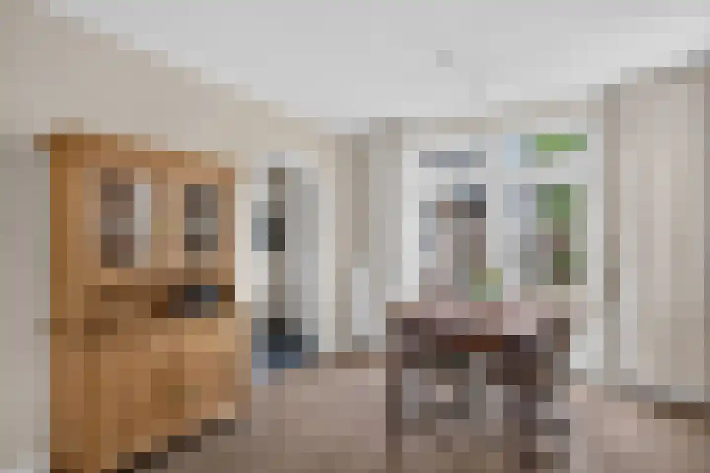 Spoorstraat 15 Wijhe thumbnail 16