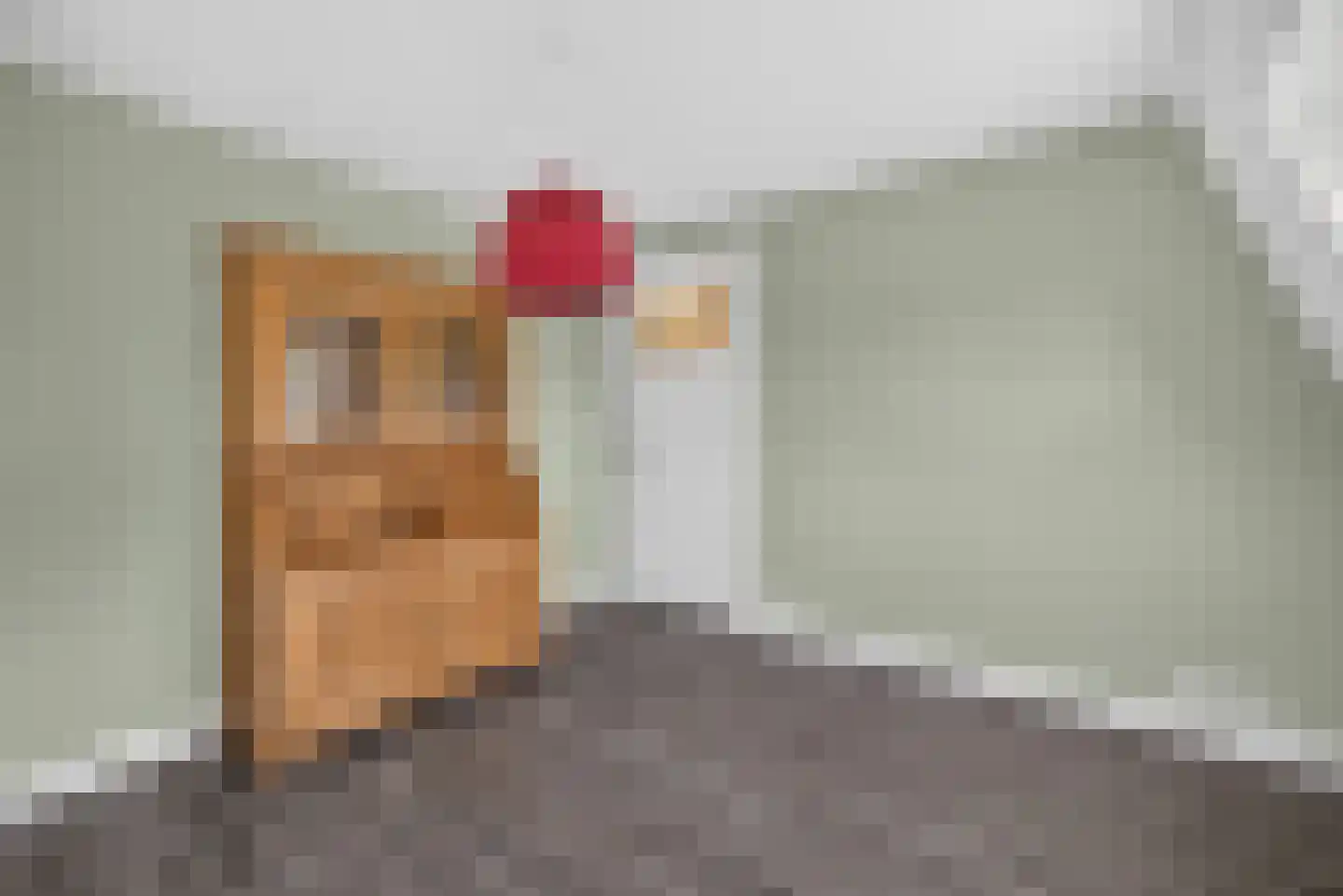 Spoorstraat 15 Wijhe thumbnail 25