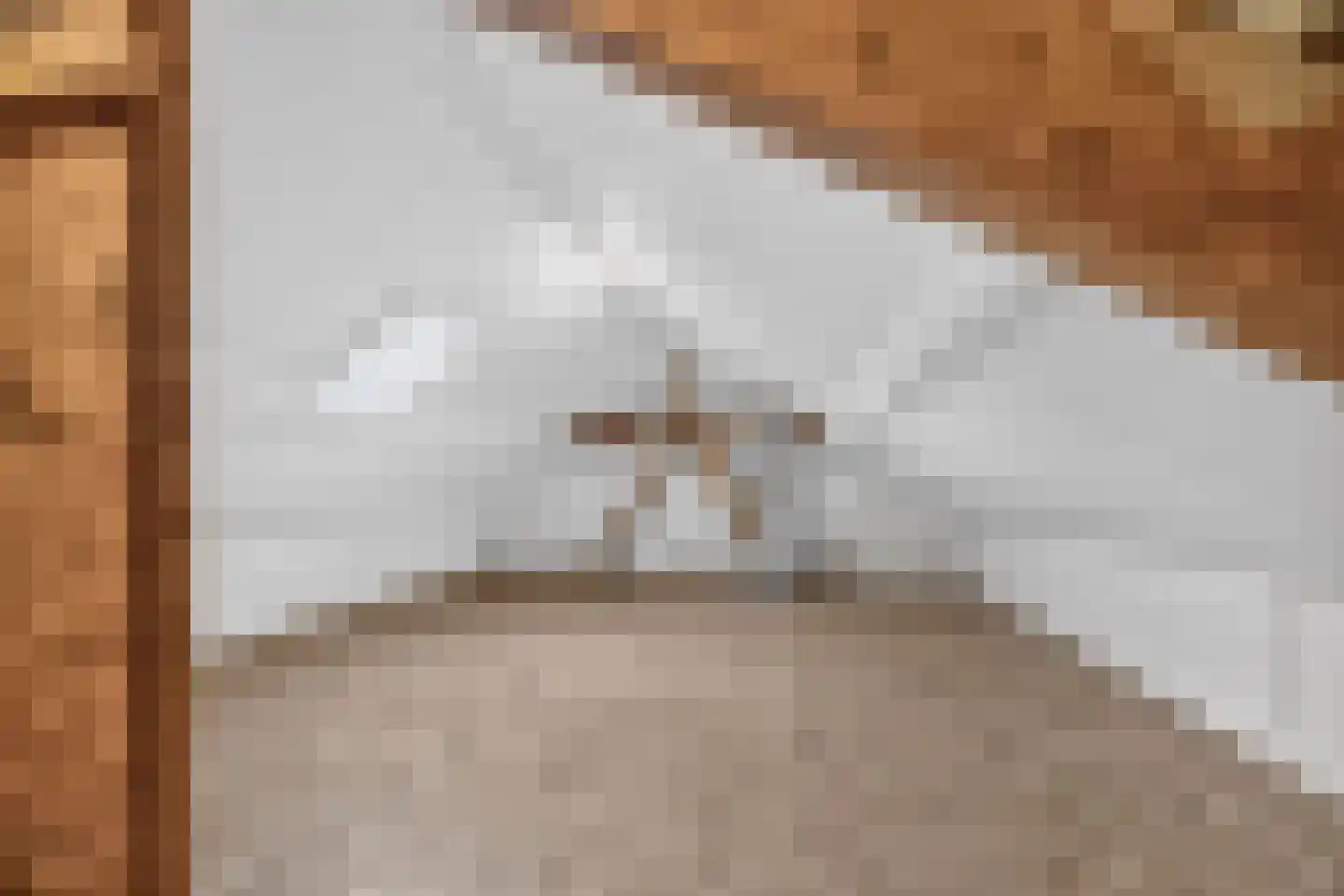 Spoorstraat 15 Wijhe thumbnail 33