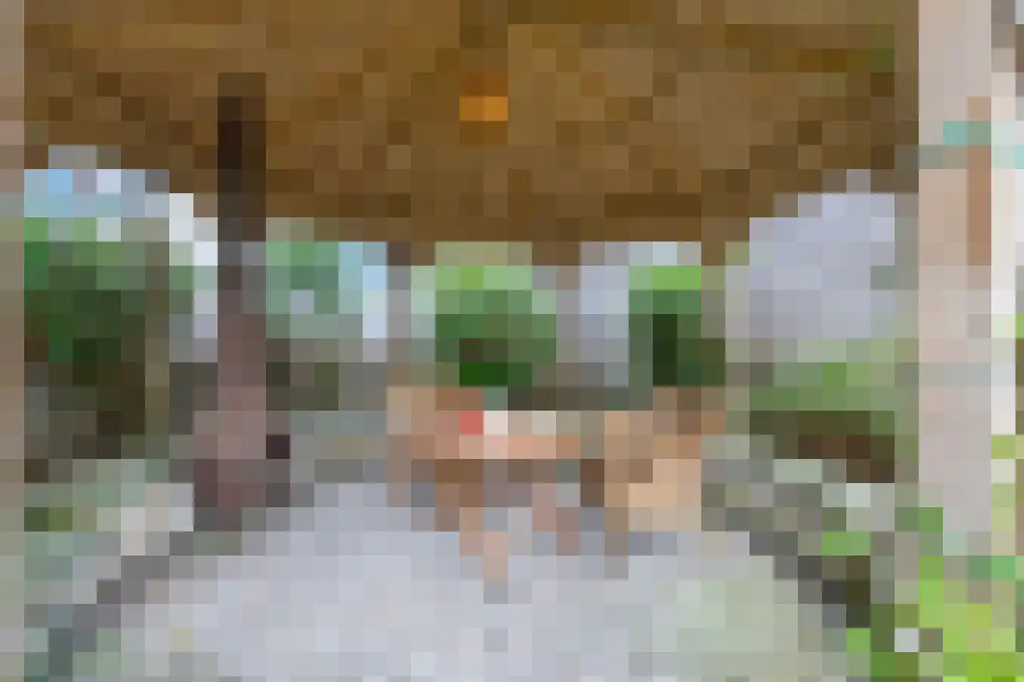 Spoorstraat 15 Wijhe thumbnail 43