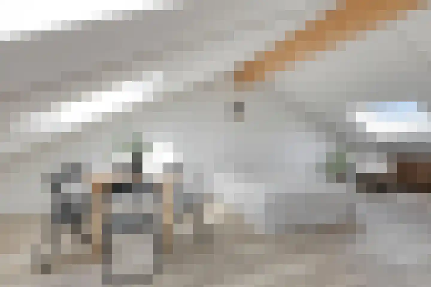 Spoorstraat 153 Noord-Scharwoude thumbnail 27
