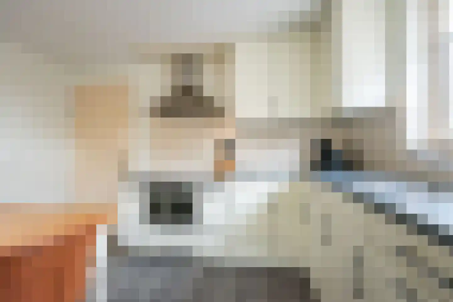 Spoorstraat 17 Dinxperlo thumbnail 19