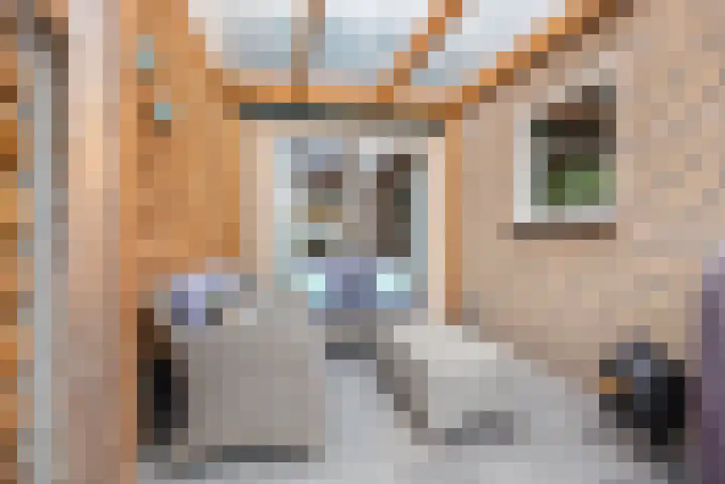 Spoorstraat 17 Dinxperlo thumbnail 37