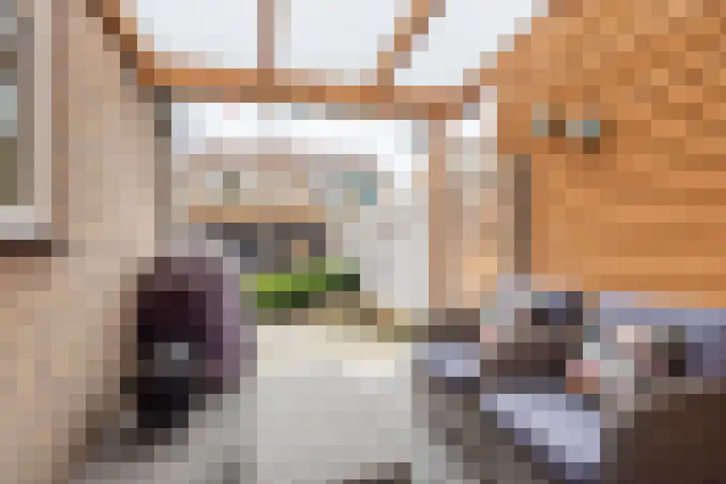 Spoorstraat 17 Dinxperlo thumbnail 38